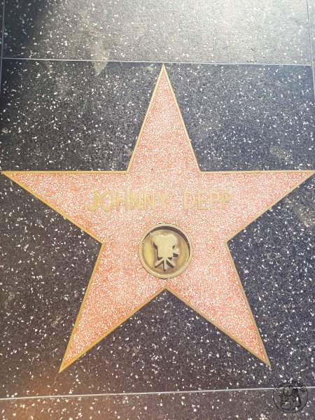Hollywood Boulevard