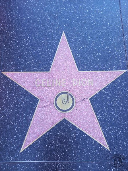 Hollywood Boulevard