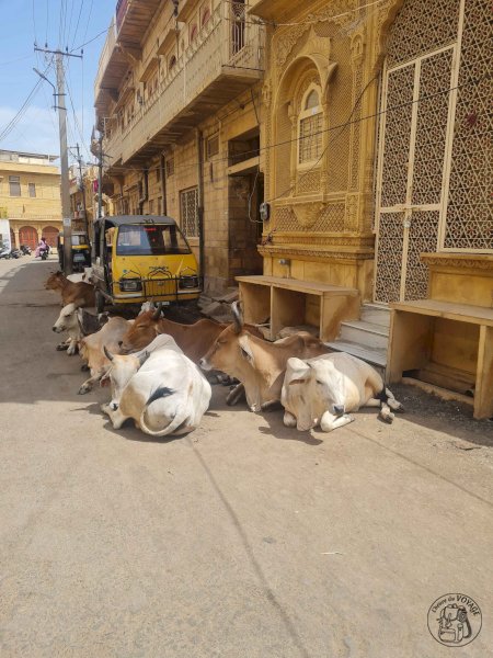 Jaisalmer, la cité d'or